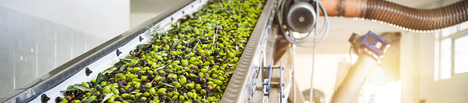 Standardizing Quality in Food & Beverage